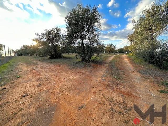 Terreno en venta en Arahal, Laura, 41600 photo 0