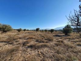 Terreno en venta en Villena, Villena photo 0