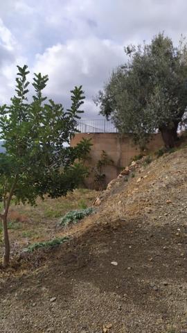 Terreno en venta en Vélez-Málaga, Periana photo 0