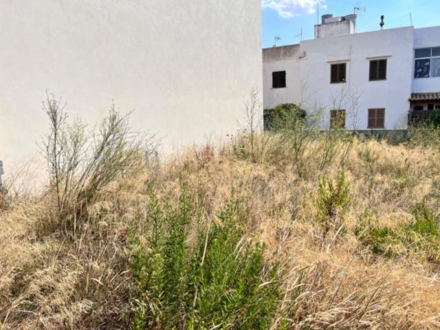 Terreno en venta en Campanet, Campanet photo 0