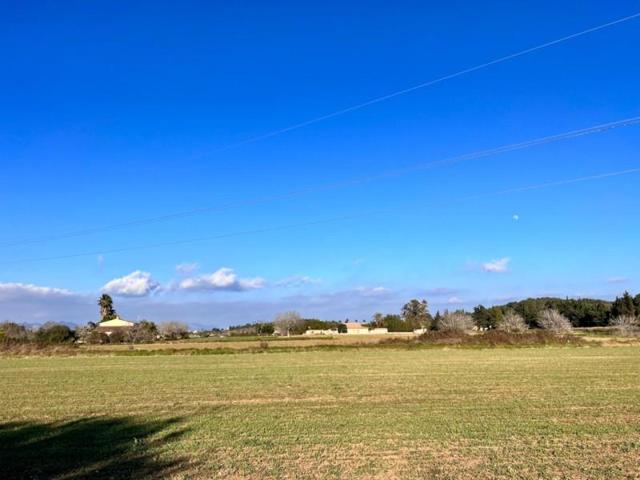 Chalet en venta en Alcúdia, Alcúdia photo 0