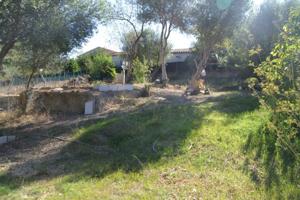 Terreno en venta en Campanet, Campanet photo 0