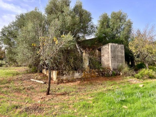 Chalet en venta en Campanet, Campanet photo 0