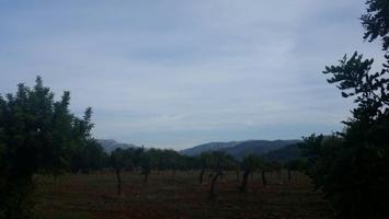 Chalet en venta en Inca, Afueras photo 0