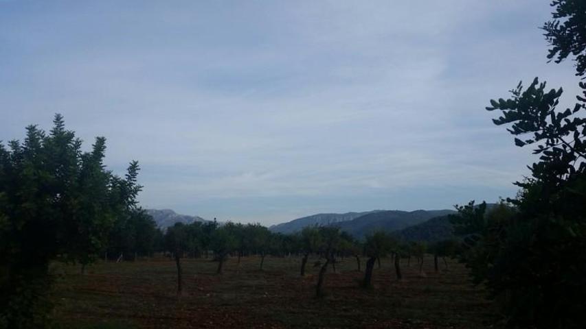 Chalet en venta en Inca, Afueras photo 0