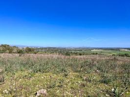 Chalet en venta en Petra, Petra photo 0