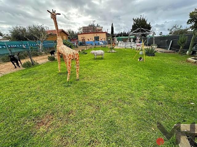 Casa con terreno en venta en Los Palacios y Villafranca, Niña, 41720 photo 0