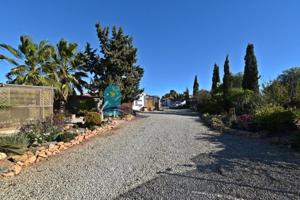 Casa con terreno en venta en Fuente Álamo de Murcia, Campillo de abajo photo 0