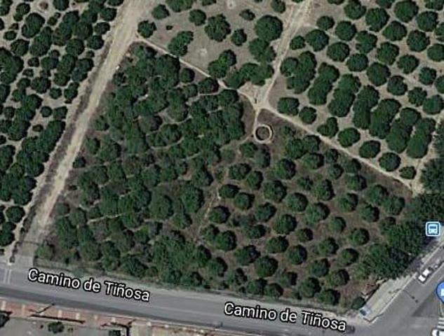 Terreno en venta en Murcia, San jose de la montaña photo 0