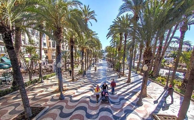 Terreno en venta en Sax, Avenida Pardo, 03630 photo 0