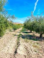Terreno en venta en Vélez-Blanco, Velez-Blanco photo 0