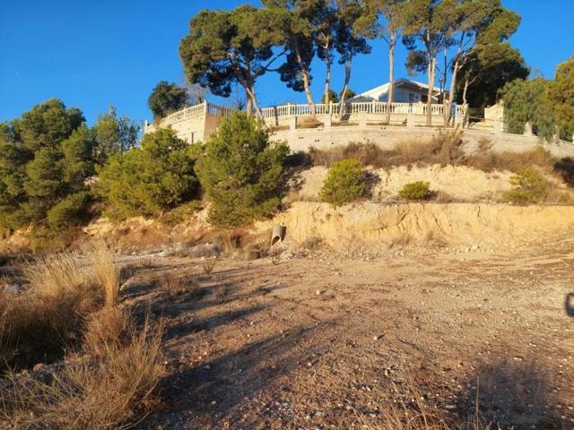 Terreno en venta en Crevillent, San isidro photo 0