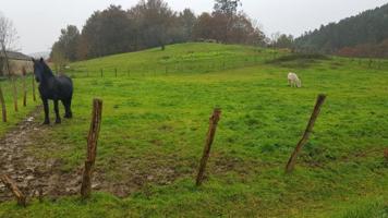 Terreno en venta en Cabezón de la Sal, Mazcuerras photo 0