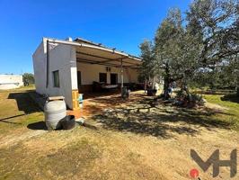 Casa con terreno en venta en Utrera, Calle Trigo, 41710 photo 0