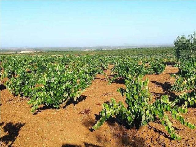 Chalet en venta en Santa Marta, Santa Marta photo 0