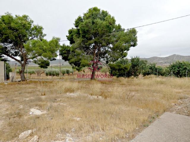 Casa con terreno en venta en Fuente Álamo de Murcia, LAS PALAS photo 0