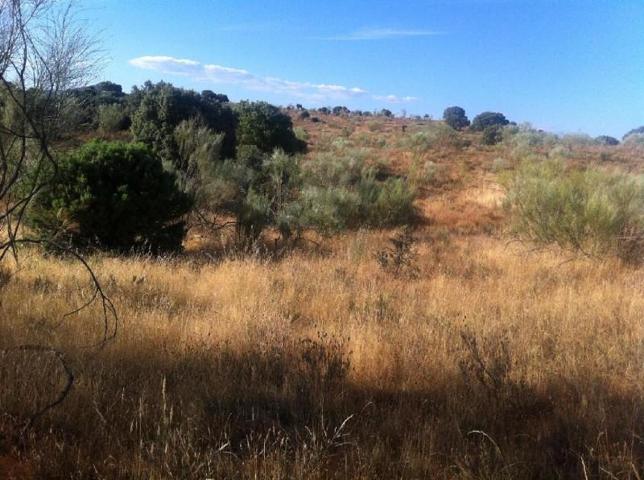 Terreno en venta en Navas del Rey, Navas del Rey photo 0