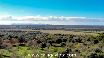 Terreno en venta en Ses Salines, Ses salines photo 0