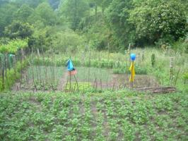 Terreno en venta en Arbo, Arbo photo 0