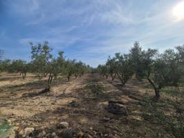 Terreno en venta en Secuita photo 0