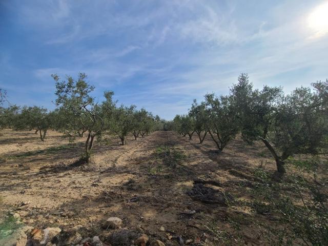 Terreno en venta en Secuita photo 0