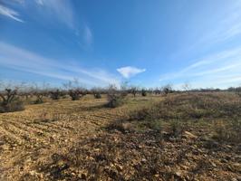 Terreno en venta en Bellavista photo 0