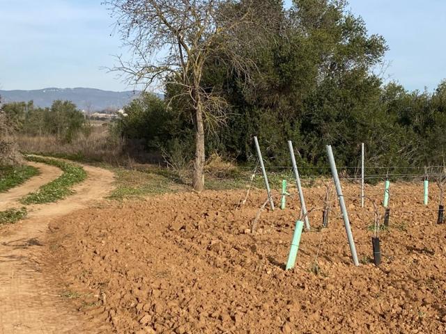 Terreno en venta en Castellet i la Gornal photo 0