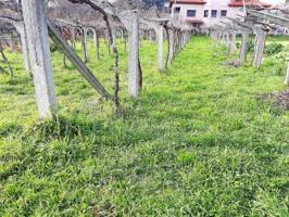 Terreno en venta en O Porriño, PETELOS photo 0