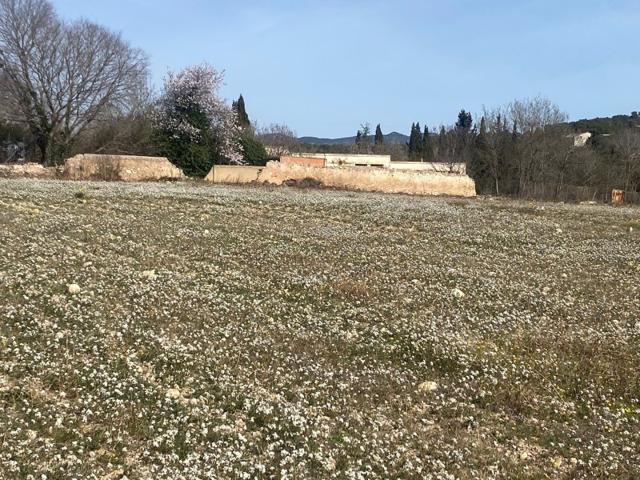 Terreno en venta en Vila-rodona photo 0