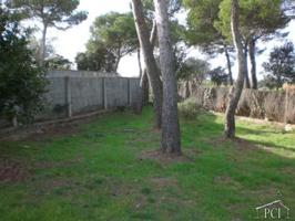 Terreno en venta en Pals, Els Masos de Pals photo 0