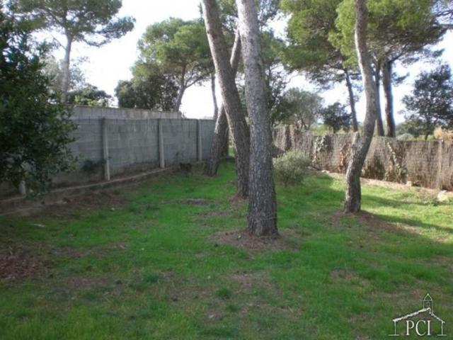 Terreno en venta en Pals, Els Masos de Pals photo 0