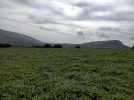 Terreno en venta en Tarifa, Lugar Las Cumbres, 11600 photo 0