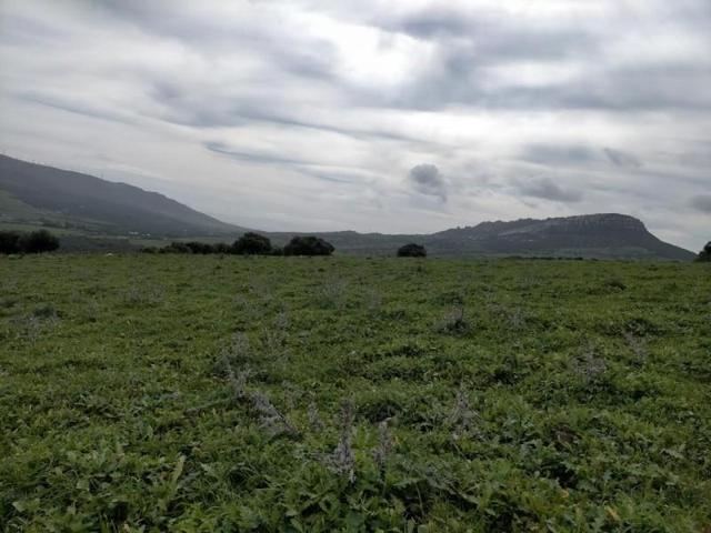 Terreno en venta en Tarifa, Lugar Las Cumbres, 11600 photo 0