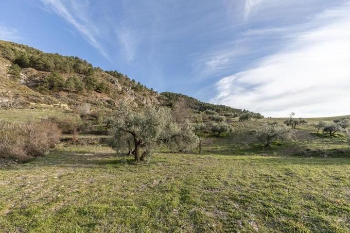 Terreno en venta en Monachil, Monachil photo 0