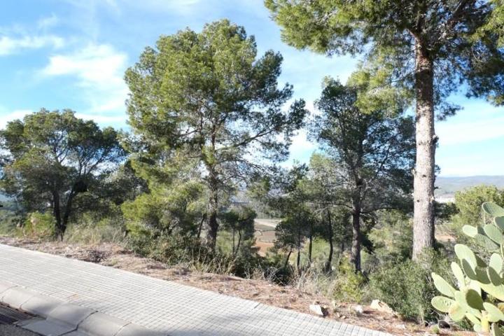 Terreno en venta en la Bisbal del Penedès, De - La Bisbal del Penedès LA MIRALBA photo 0