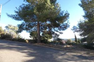 Terreno en venta en la Bisbal del Penedès, El Priorat de la Bisbal photo 0