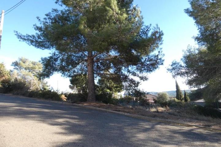 Terreno en venta en la Bisbal del Penedès, El Priorat de la Bisbal photo 0