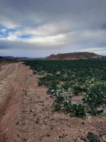 Chalet en venta en Lorca, El Consejero photo 0