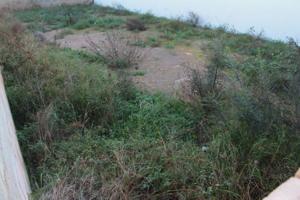 Terreno en venta en Ses Salines, Ses salines photo 0