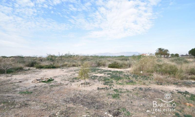 Terreno en venta en Catral, Catral photo 0