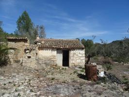 Casa con terreno en venta en Alcalali, Campo photo 0