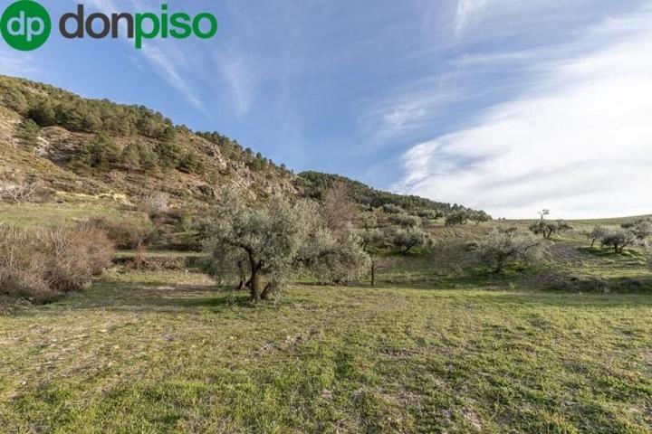 Terreno en venta en Monachil, Monachil photo 0