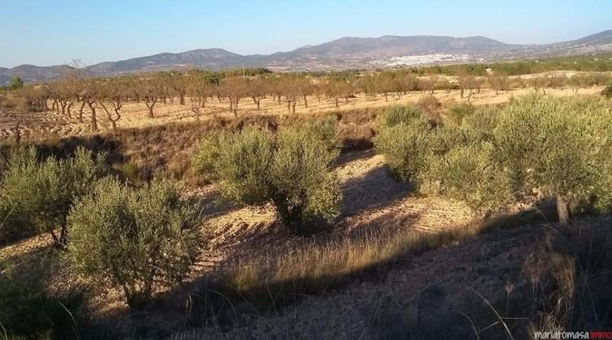 Terreno en venta en Castalla, Castalla photo 0