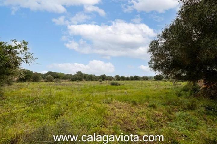 Terreno en venta en Ses Salines, Ses salines photo 0