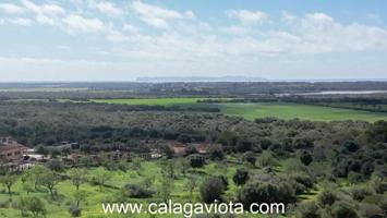 Terreno en venta en Ses Salines, Ses salines photo 0