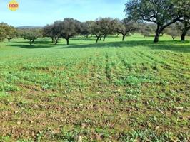 Terreno en venta en Villanueva de los Castillejos, Villanueva de los Castillejos photo 0