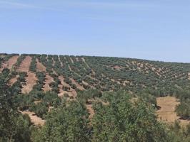 Terreno en venta en Martos, Sierra sur photo 0