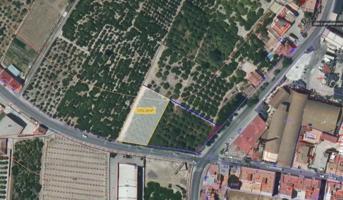 Terreno en venta en Murcia, Los Dolores photo 0
