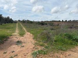 Terreno en venta en Bollullos par del Condado, Periferia photo 0