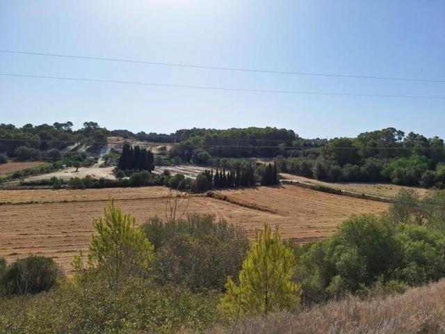 Terreno en venta en Muro, Muro afueras photo 0
